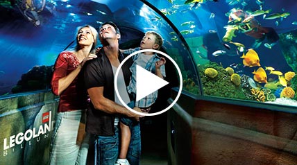 Legoland Movie 428X238